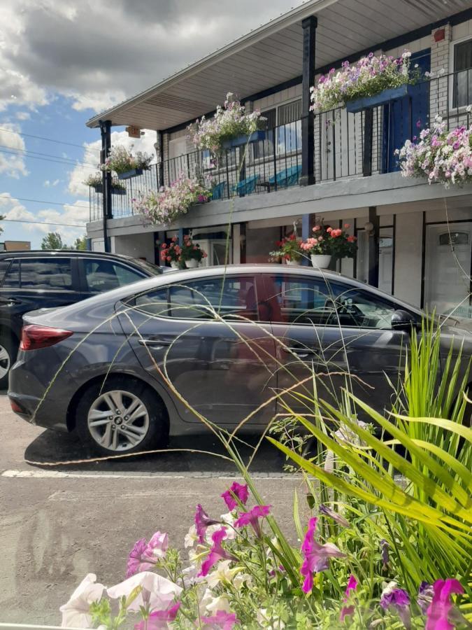 Blue Moon Motel Niagara Şelalesi Dış mekan fotoğraf