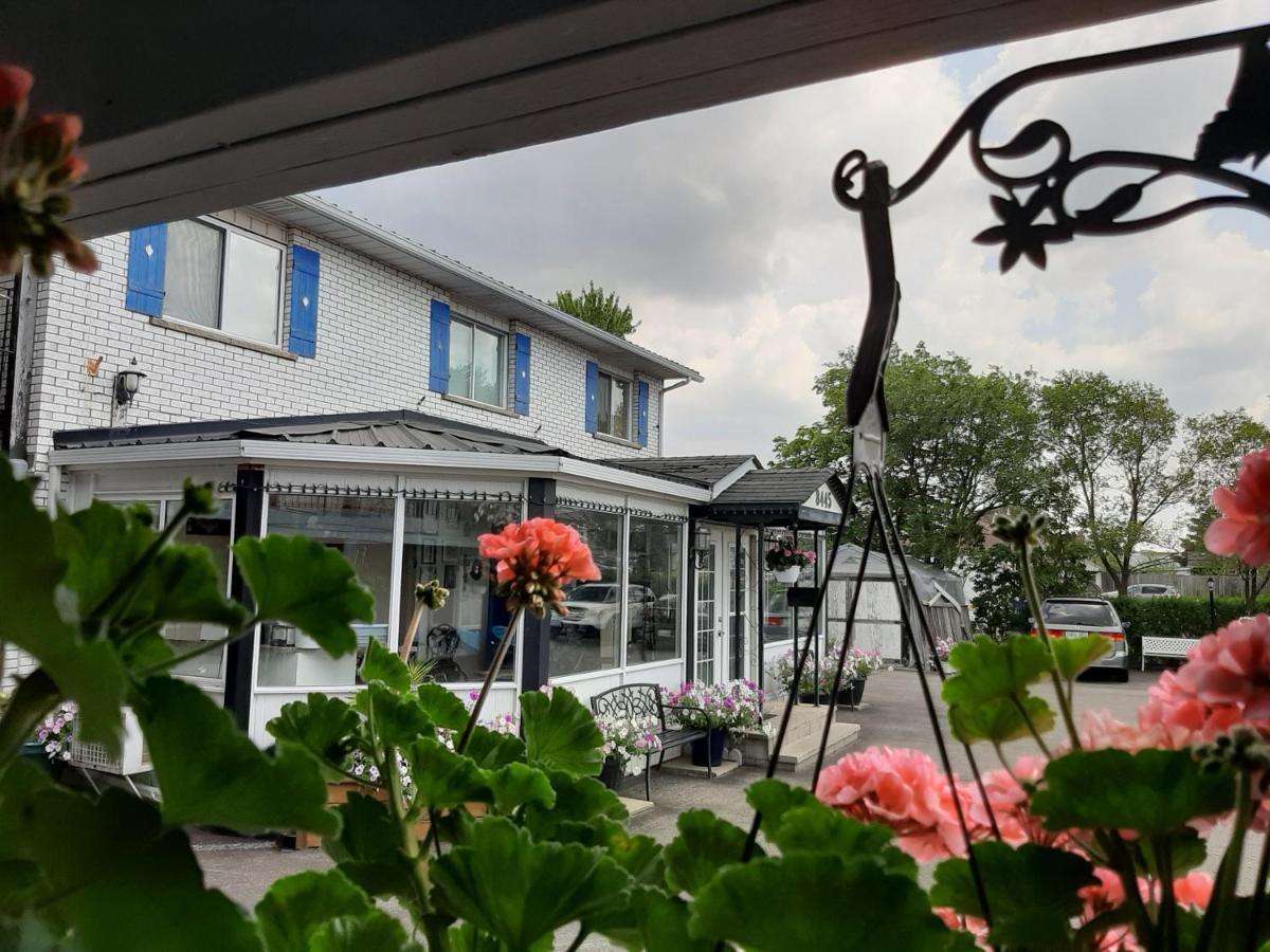 Blue Moon Motel Niagara Şelalesi Dış mekan fotoğraf
