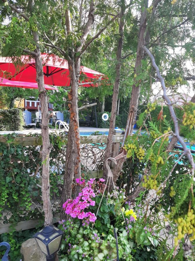 Blue Moon Motel Niagara Şelalesi Dış mekan fotoğraf